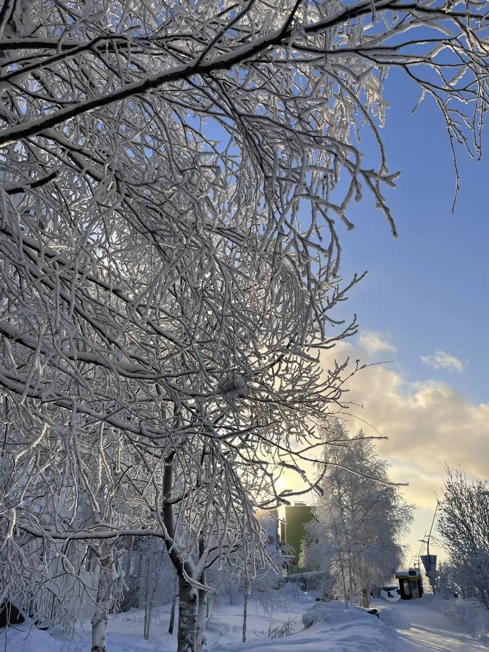 По информации Единой дежурно-диспетчерской службы Ноябрьска температура воздуха - 27 градусов, ветер "С" 4 м/с