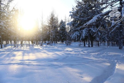 С новым днём, друзья!. Надеемся, что он начался у вас прекрасно! #ТРКНАДЫМ