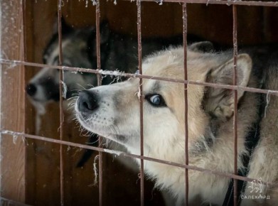 ������� �� ������. �� ������ �� ������ ��� ��������� �������� ������� ���� ����� � ������ �����