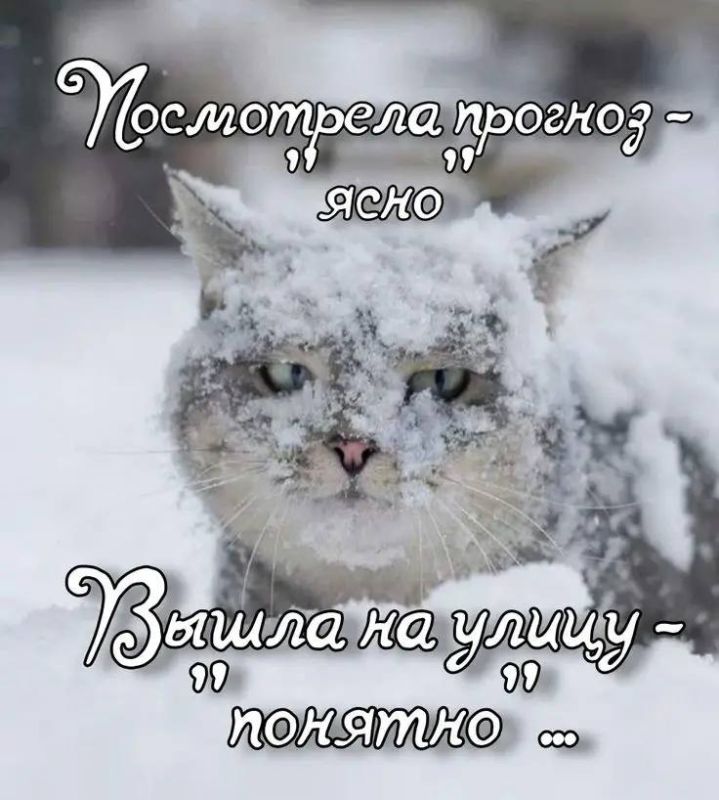 �� ������ ���������� 26 ������� �� ���������� ������ �������������� ��������������� �������� ������� - ������ �����������