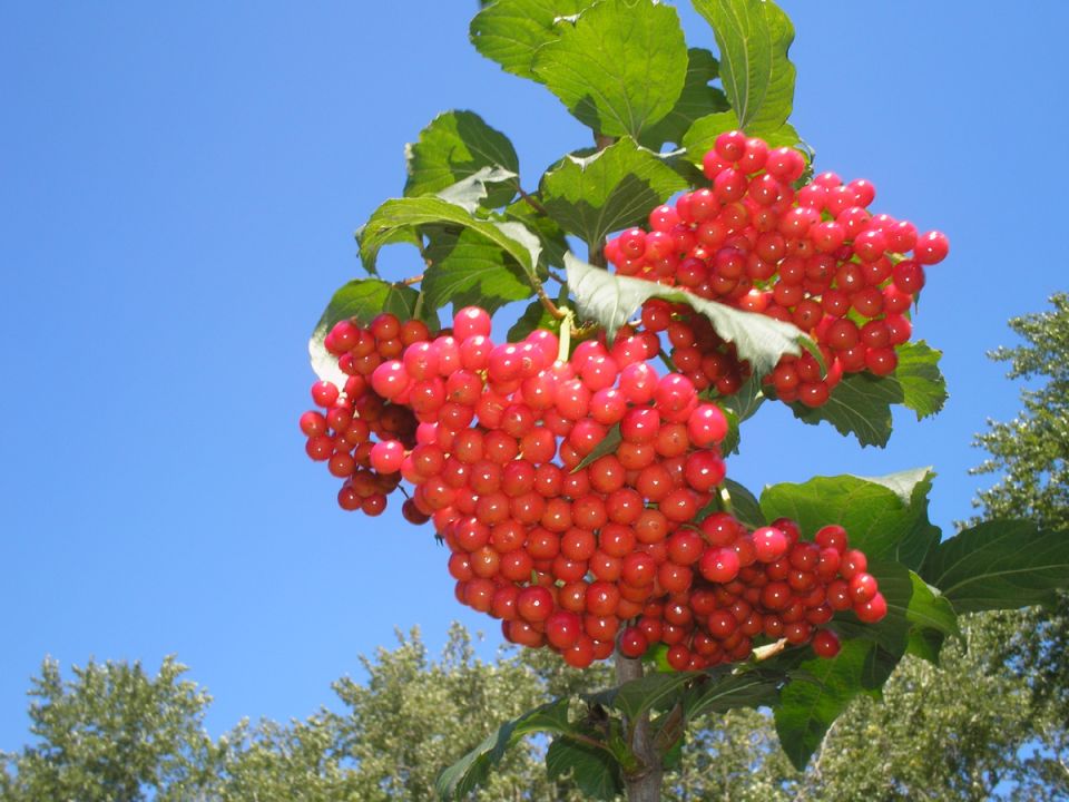 ������: ������� ����������� �� ������� �� ����� ������