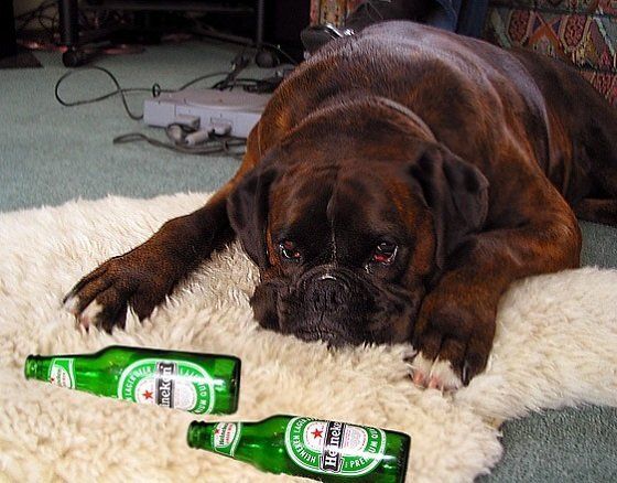 ����������� ������� ����������� ����� ���������� ����������