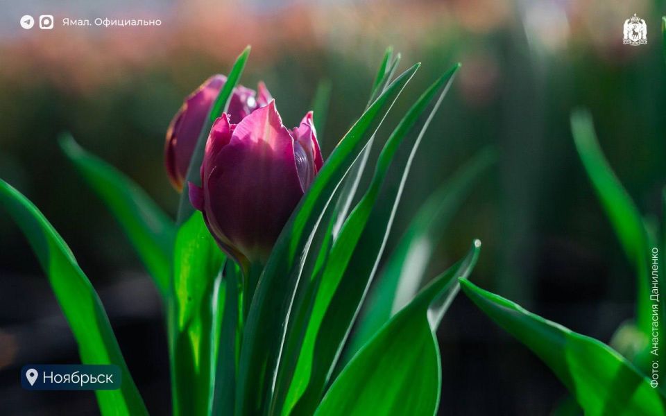 ������ 400 ����� ������ ��������� �� ����� � 8 �����