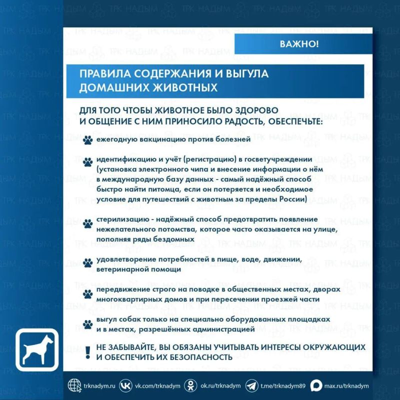 ���������� � ����� ����� ������������ ������ � ��� �� ������ �������, �� � ������� ���������������!