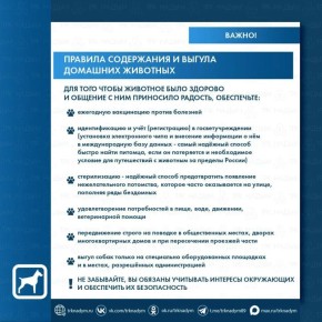 ���������� � ����� ����� ������������ ������ � ��� �� ������ �������, �� � ������� ���������������!