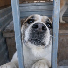 �������� ������ ����� � �����