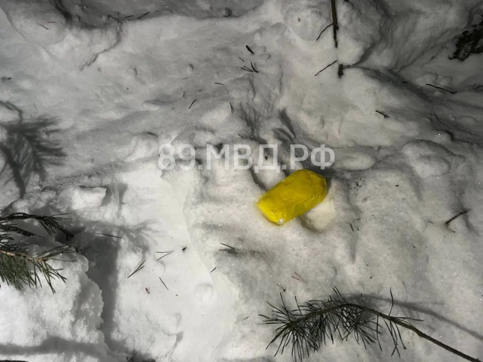 ����������� ������� ������� ������������ �� ��������� � ������ �������� ��