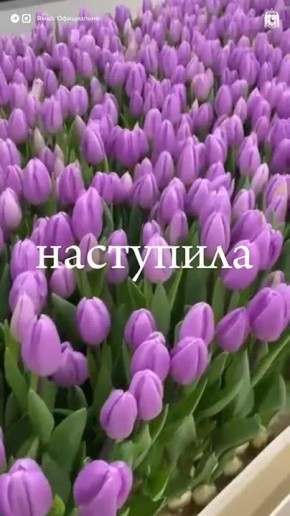 ��� �� ����� ����� ��� ���������, ��������� � ��������� �����