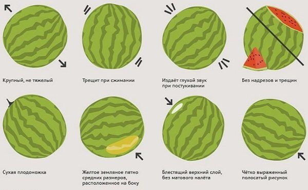 ��� �� ��������� �� ������: ������� ������ ������� ������