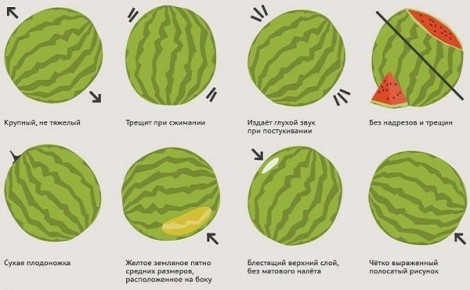 ��� �� ��������� �� ������: ������� ������ ������� ������