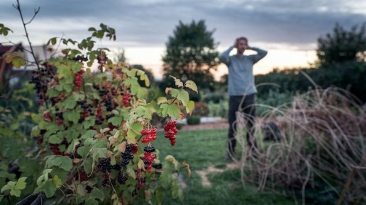 ���� �� ������� ���������: ��� ��������� ������ � �������� ������