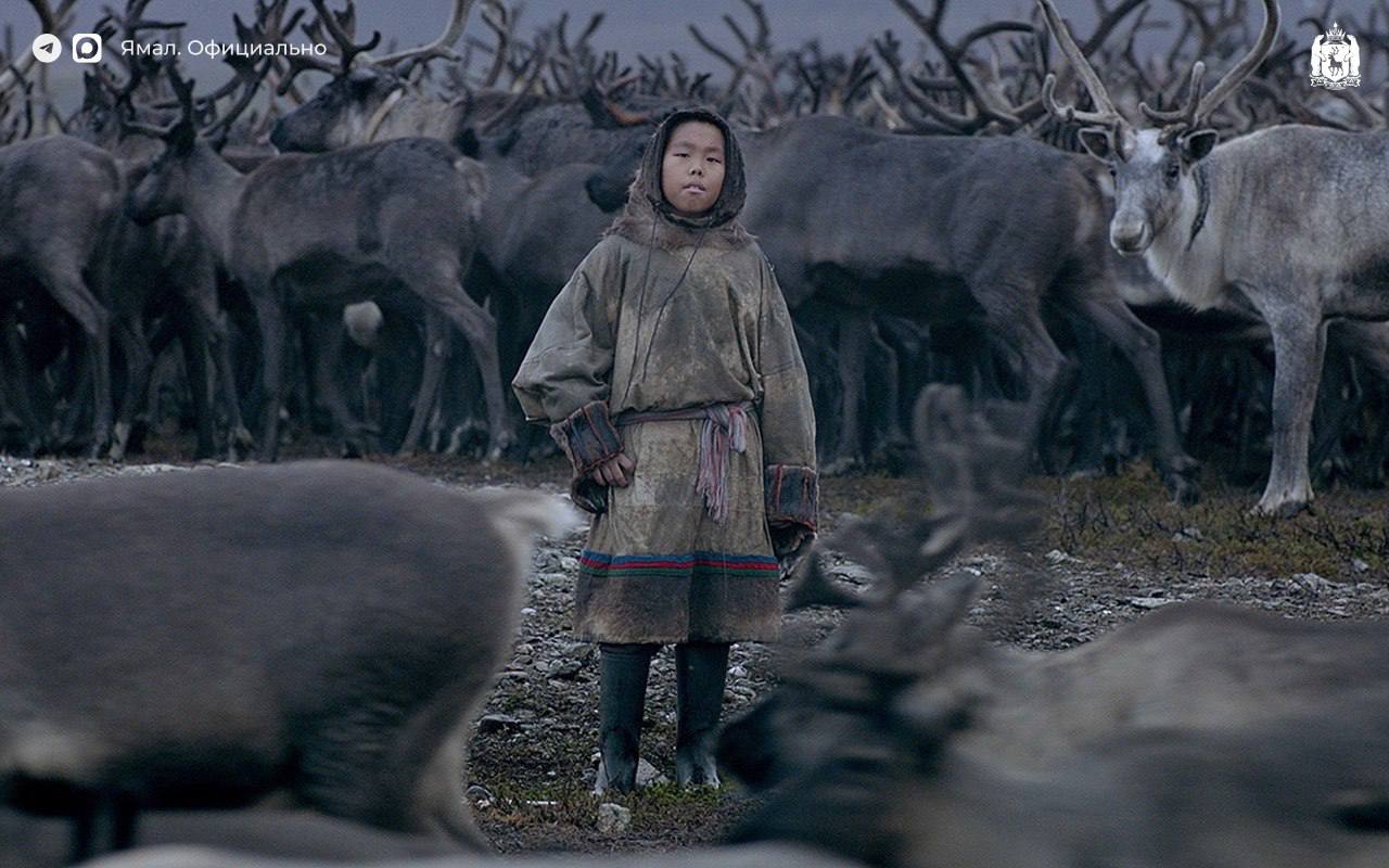 Фильм «Цинга», снятый на Ямале, вышел в прокат Фильм «Цинга», снятый на Ямале, вышел в прокат