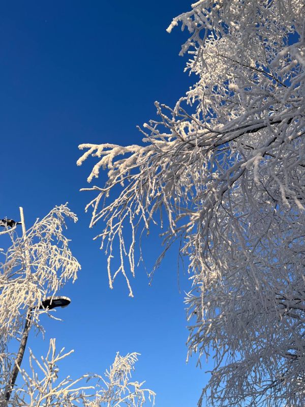 �� ���������� ������ �������-������������� ������ ���������: ����������� ������� �� 06:00 -30 �������� �� �, ����� ������ -�������� 4 �/�