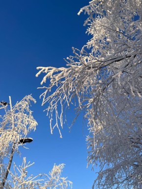 �� ���������� ������ �������-������������� ������ ���������: ����������� ������� �� 06:00 -30 �������� �� �, ����� ������ -�������� 4 �/�