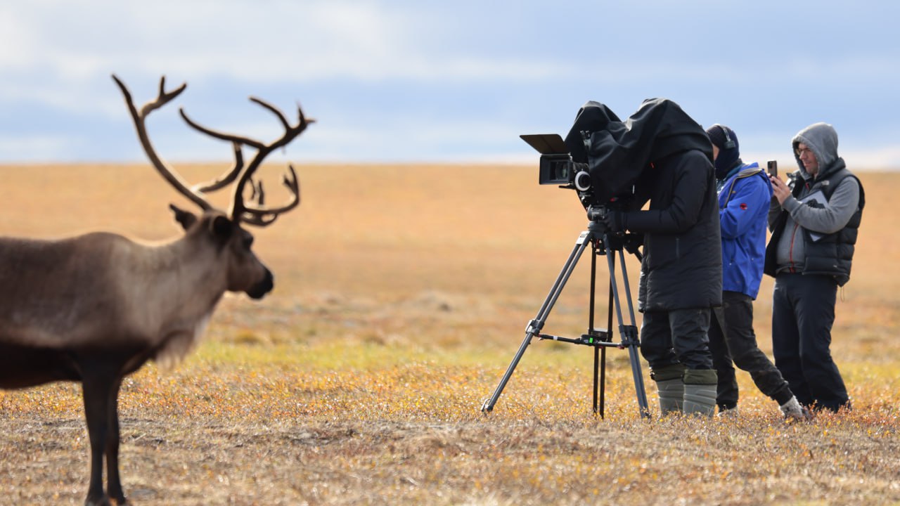 В кинотеатрах России выходит в прокат фильм «Цинга», снятый на Ямале В кинотеатрах России выходит в прокат фильм «Цинга», снятый на Ямале