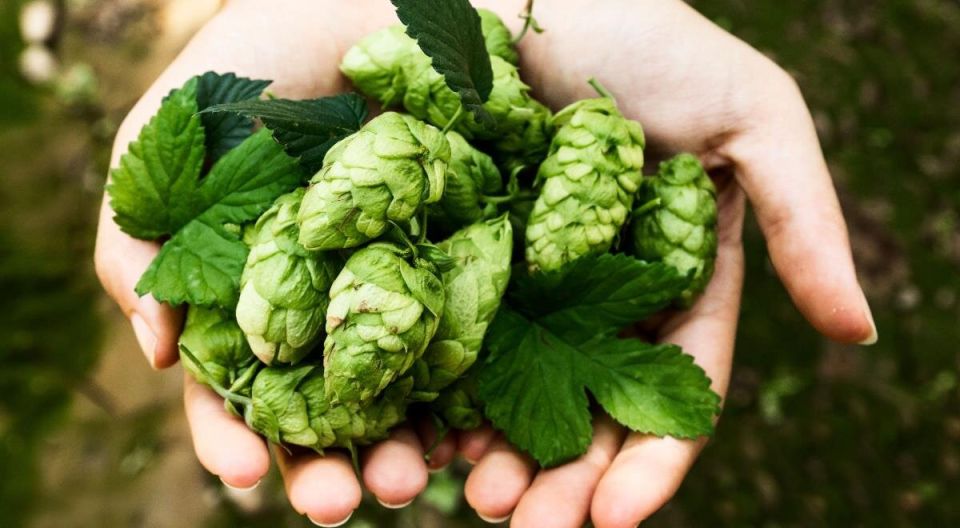 ���������� ������ �����: ���������� �������� ��������� � �����, ����������� ������