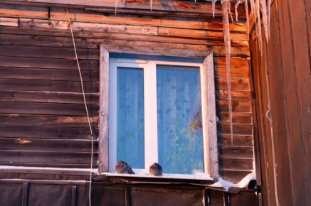 Доброе утро, ямальцы!. Просыпаемся и медленно ползем в сторону выходных