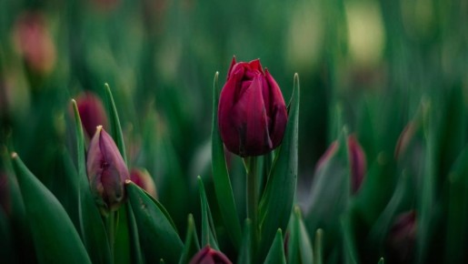 ������� �������� �������. ���� � ��� �� ������ ��� ������ � ������� ��������