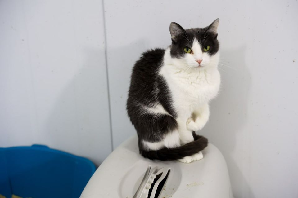 � ��� �������� � ������� ����� ������� ������ ��� �������� ������ � 2026 ����