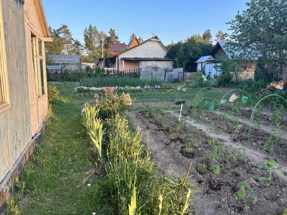 ����������� ������� ������ � ������ ��� ���� � ��������