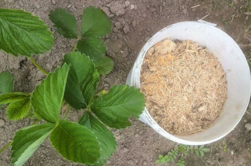 ���� �� ��������� � ������: ������� ������� � �������� ������