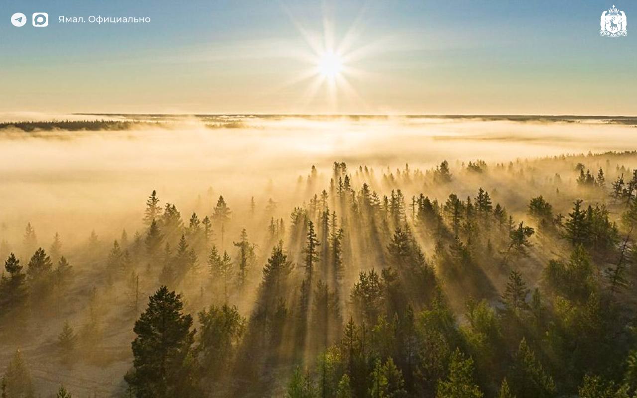 В Салехарде открылась фотовыставка «Заповедный Ямал. Тайны края земли» В Салехарде открылась фотовыставка «Заповедный Ямал. Тайны края земли»