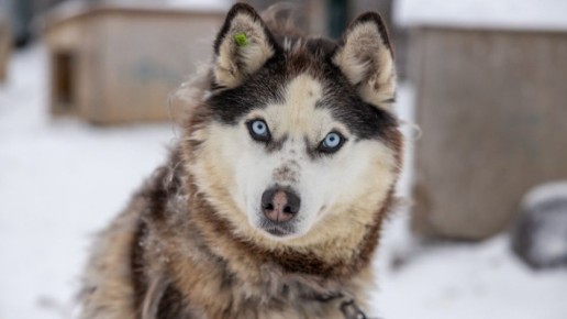 ���� � ����� � ����������: ���� �������� ������ � ������