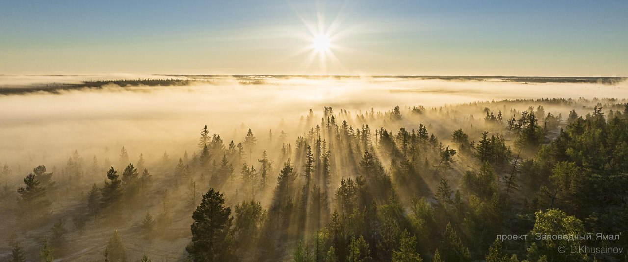 Экспедиция длиною в годы завершилась большой выставкой в Салехарде