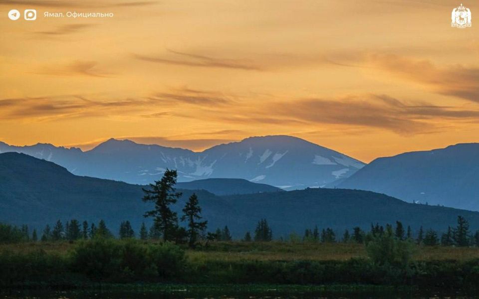 � ��������� ��������� ������������ ����������� ����. ����� ���� �����