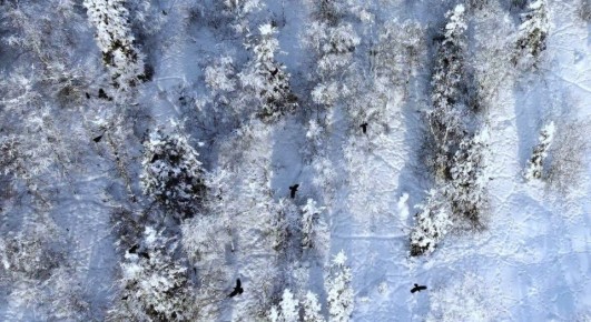 ������� � �������: ��������� �������� �� ���������� � �����