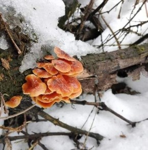 ������ ��������� ����� ������ ������ � ��������� ����� � ����