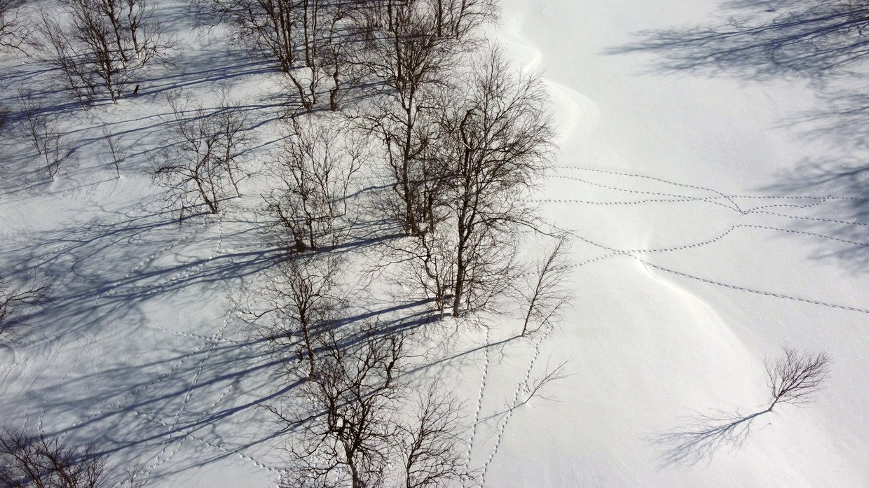 Времена – февраль: нестрогая проверка на готовность к весне Времена – февраль: нестрогая проверка на готовность к весне