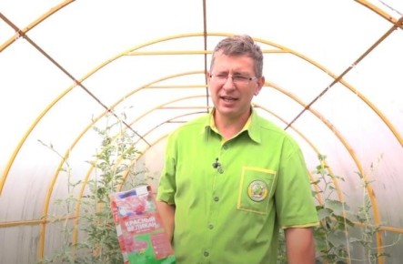 ��� ���������� � ���������� ������� � ������� � �������� ������������