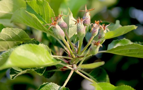 ���������� ��������� ����������� ������� ��� �������� ������