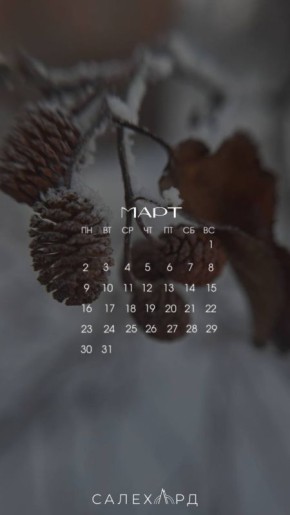 ����� � ������ - ��� ������ ����� �������