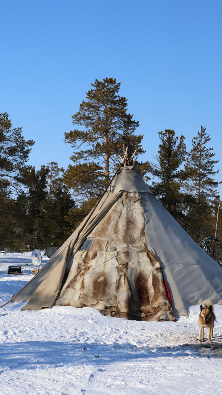 Пусть за окном ещё лежит снег, а мороз не спешит отступать — в душе уже просыпается весна Пусть за окном ещё лежит снег, а мороз не спешит отступать — в душе уже просыпается весна