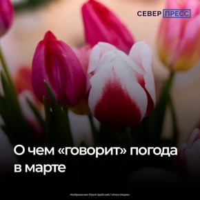 ��������� ����������� �����, ���� ���� ������������