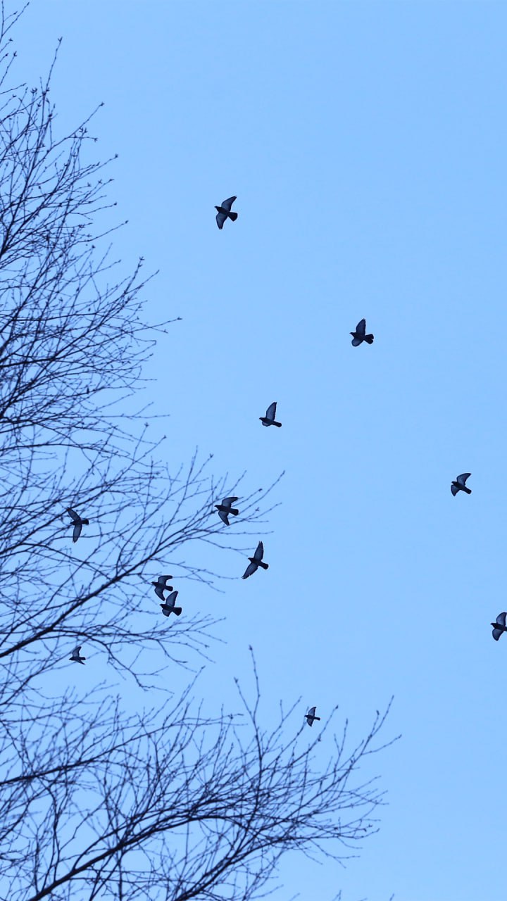 Пусть за окном ещё лежит снег, а мороз не спешит отступать — в душе уже просыпается весна Пусть за окном ещё лежит снег, а мороз не спешит отступать — в душе уже просыпается весна