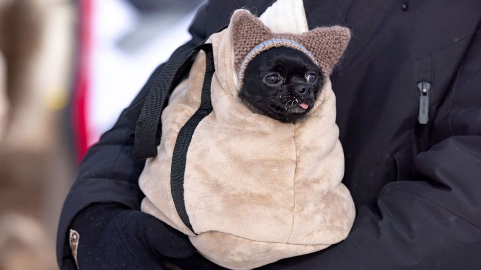 Доброе утро, Салехард!. На календаре — 1 марта, весна официально вступила в свои права! Это значит, что с каждым днём будет больше солнечного света, а с ним — и тепла! И пусть сегодня за окном морозно — термометр показывает...