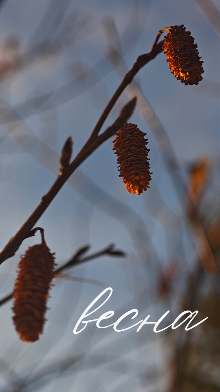 Пусть за окном ещё лежит снег, а мороз не спешит отступать — в душе уже просыпается весна Пусть за окном ещё лежит снег, а мороз не спешит отступать — в душе уже просыпается весна