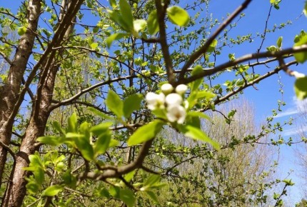 ����������� ������� ������ � ���� �� ������� ����� ��������