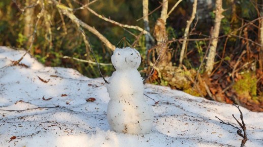 ������ ������, � ��� �� ������: ����� ������� �� ������ ������