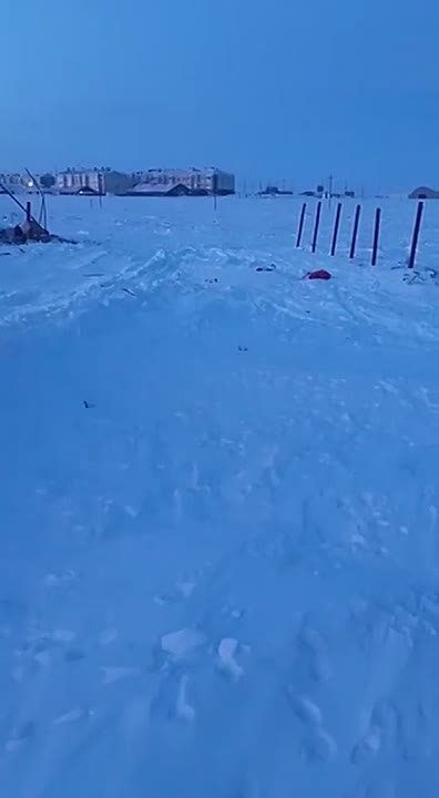 Жуткая находка. В селе Антипаюта Тазовского района местные жители нашли большую свалку оленьих голов в полукилометре от населённого пункта