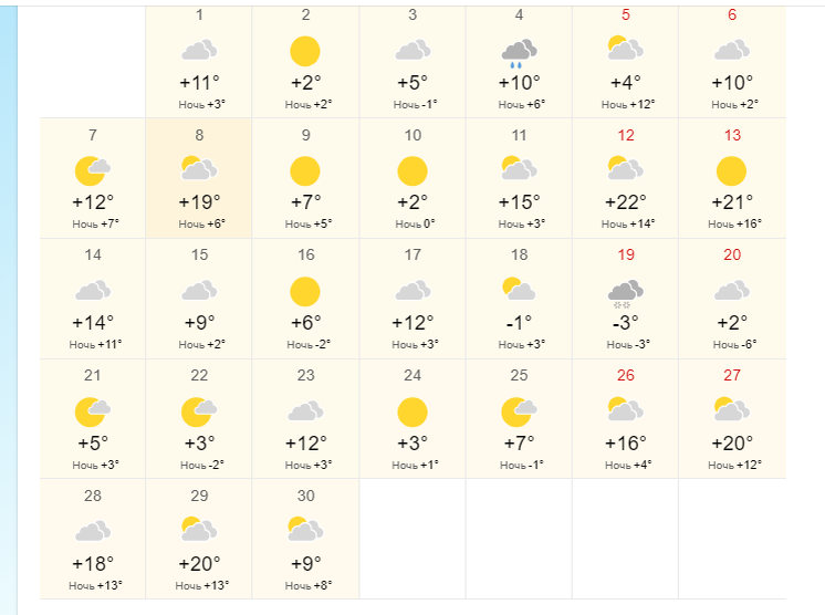 Капуста: новые сорта и худшие неудачи дачника