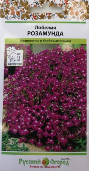 �������� �����: ����� ��� ������� � �������