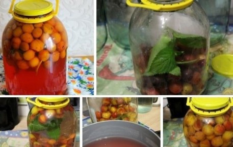 Ароматный компот из сливы и мяты: простой рецепт