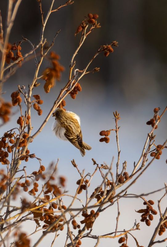 Доброе мартовское утро, друзья!