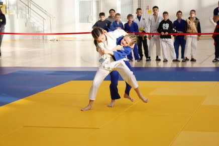 В Надыме завершилось первенство Ямала по дзюдо
