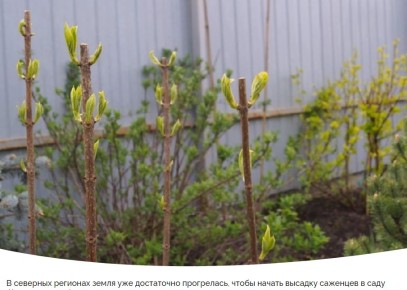 ����������� ������: ����� ������� ������ ����������� � 20 �� 26 ������