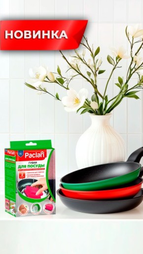 ����������� ������ ��� ������ ������: ����� ����� �� Paclan